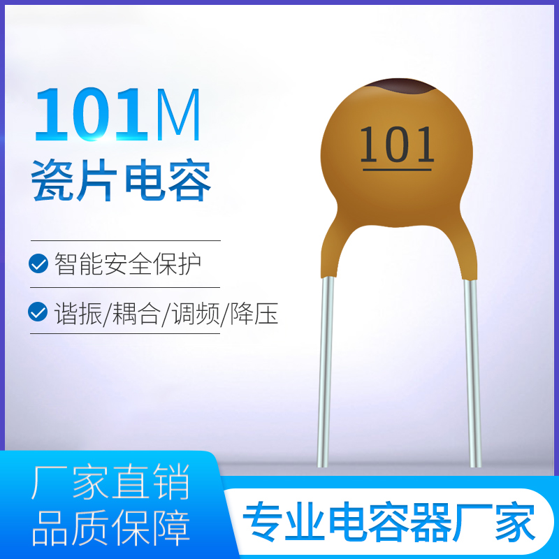 貼片Y電容101M